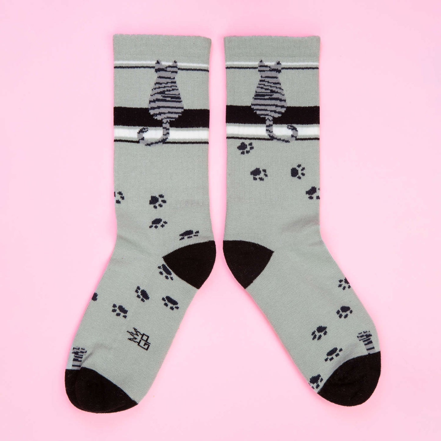 UNISEX - GRAY TABBY CAT