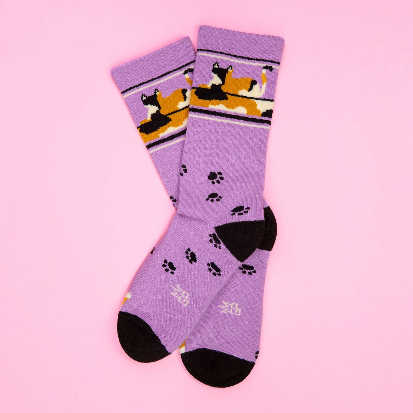 UNISEX - CALICO CAT